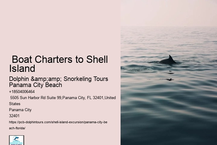 Boat Charters to Shell Island