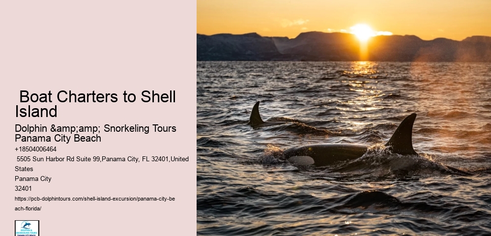 Shell Island Shoreside Adventures