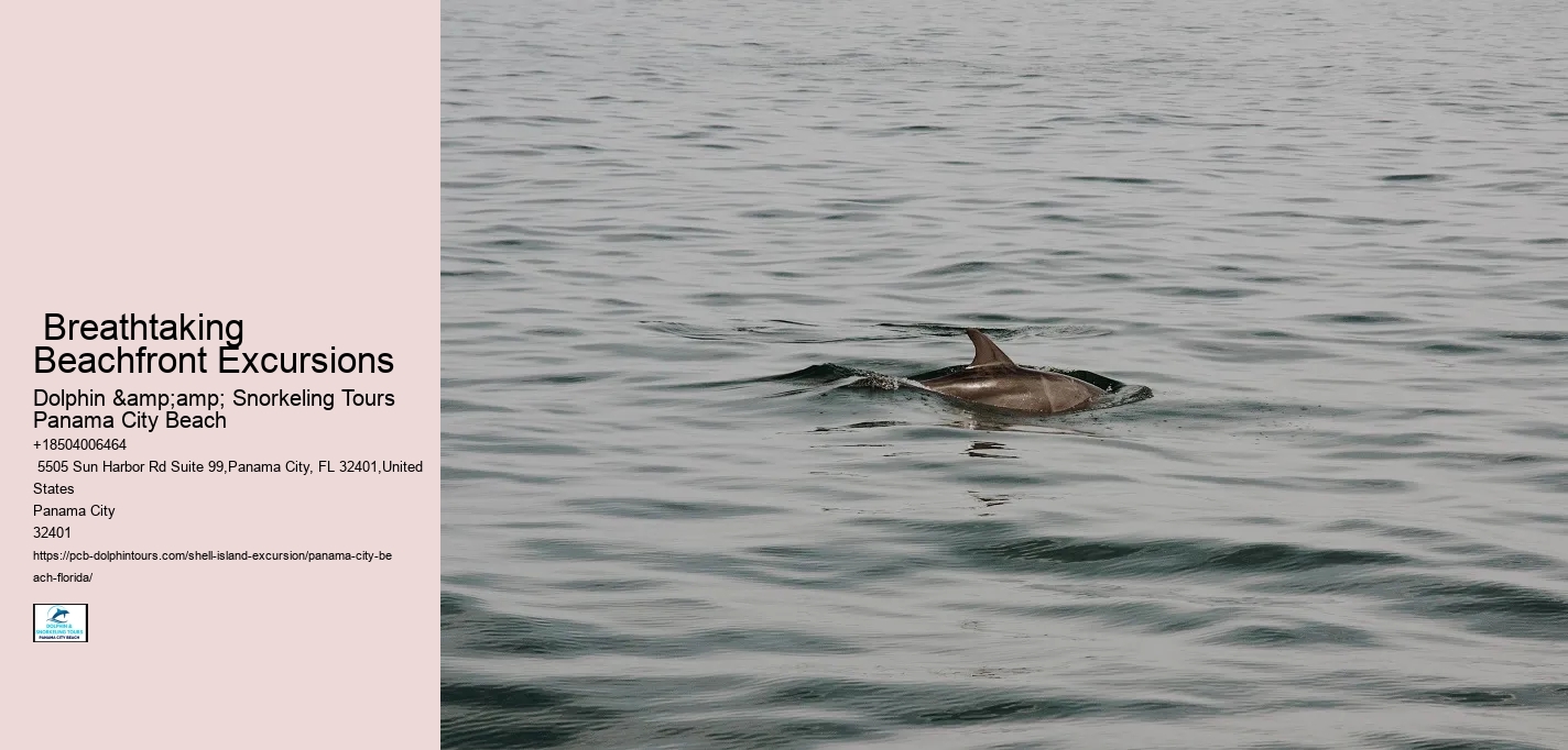  Breathtaking Beachfront Excursions