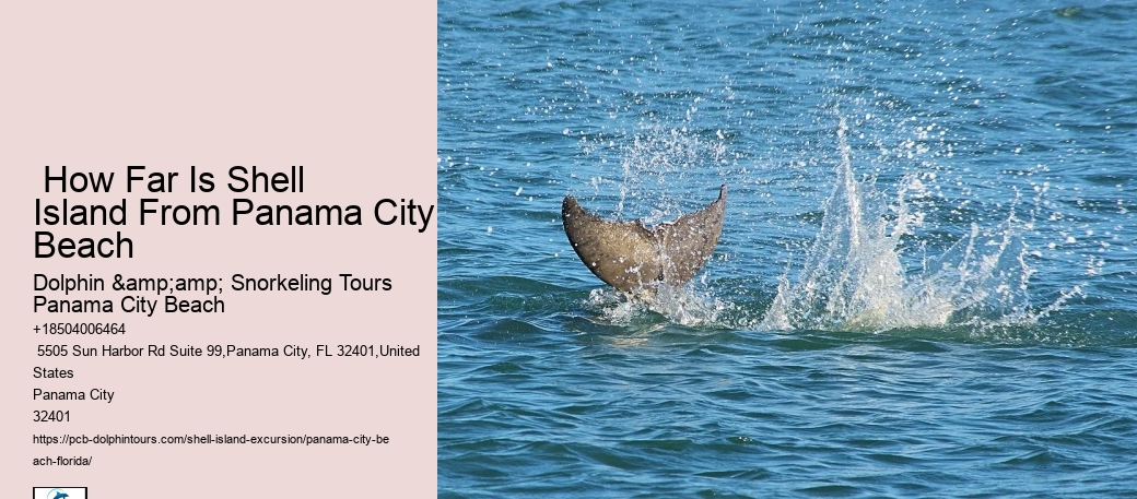 Shell Island Coastal Habitat Exploration