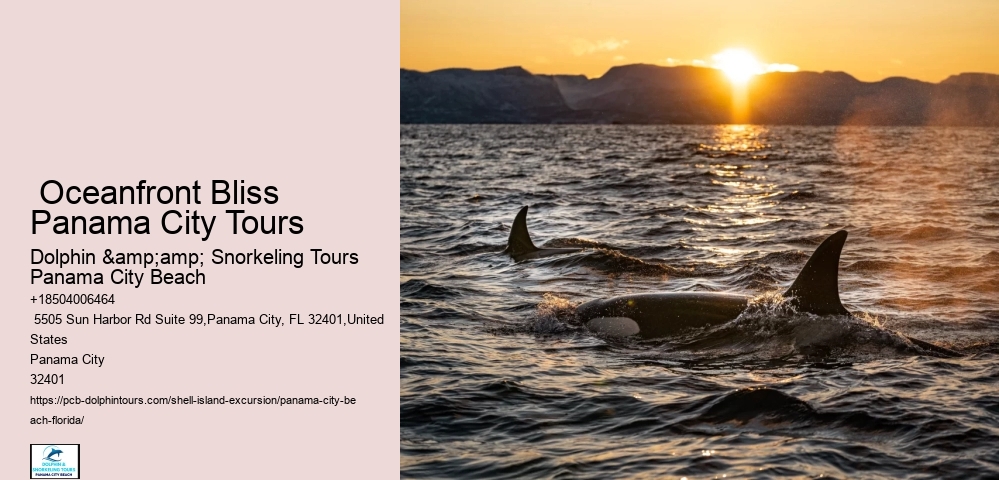  Oceanfront Bliss Panama City Tours