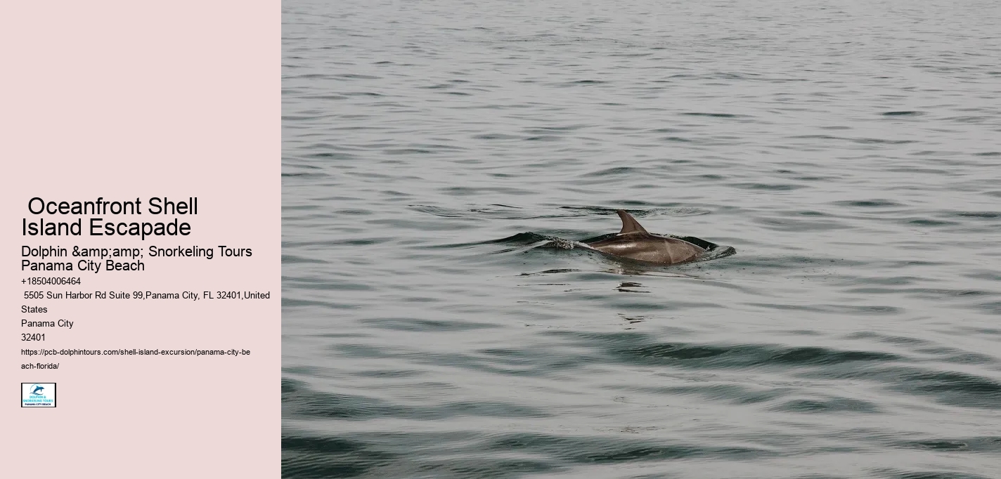  Oceanfront Shell Island Escapade