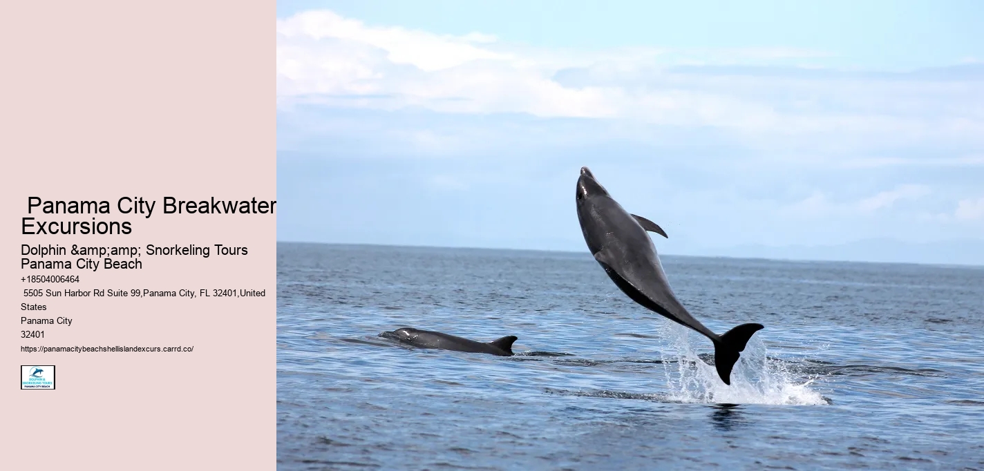  Panama City Breakwater Excursions