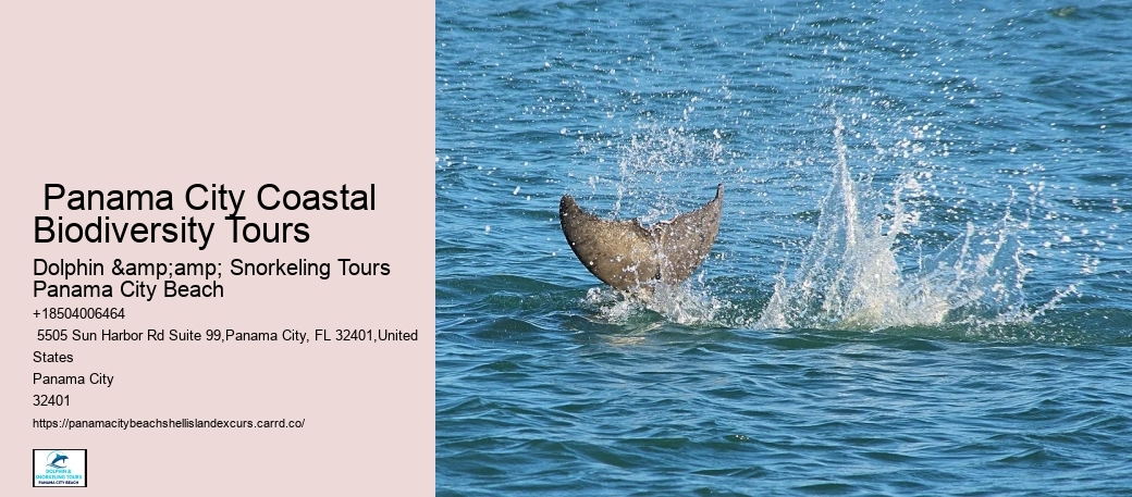 There Are Quite A Few Excellent Spots Where You Can Find Shells