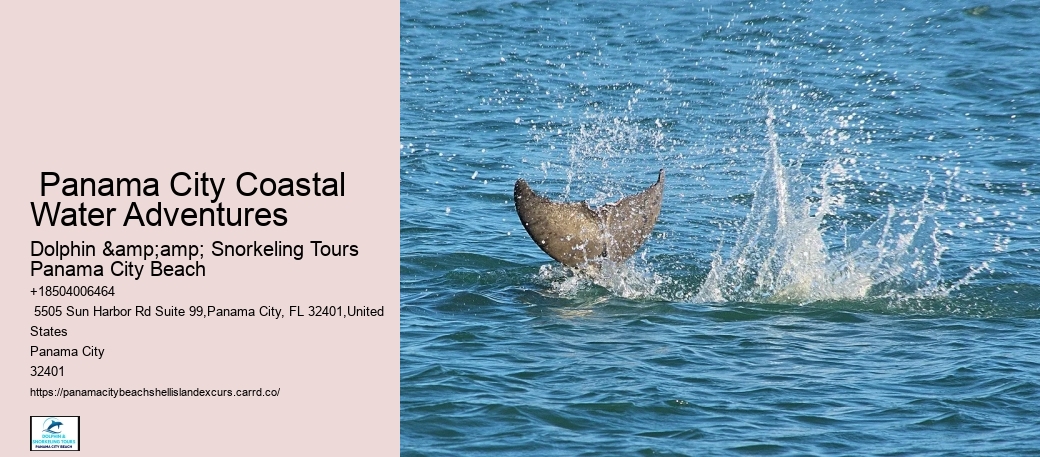 Shell Island Discovery Boat Charters