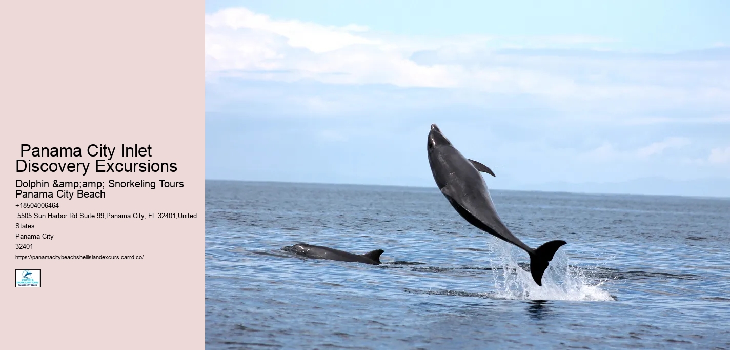  Panama City Inlet Discovery Excursions