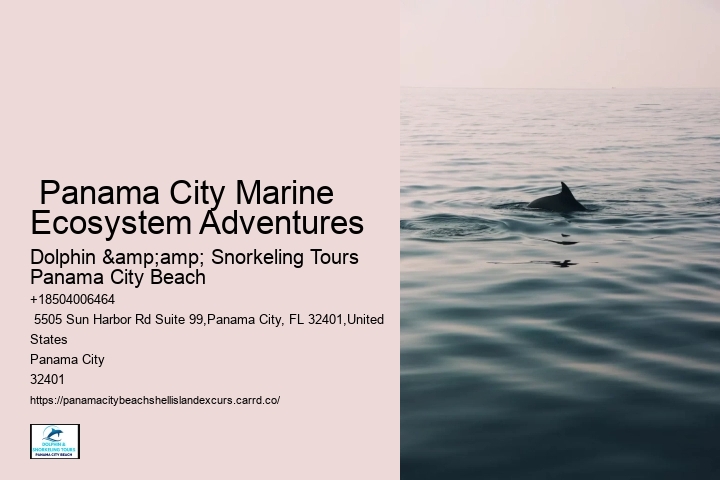  Panama City Marine Ecosystem Adventures
