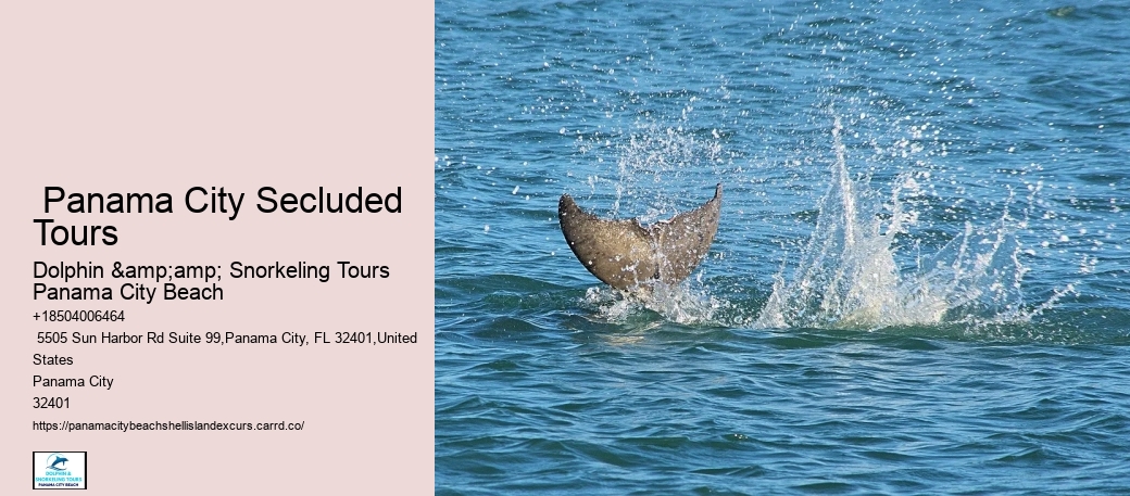 How Long Does It Take To Get To Shell Island By Boat