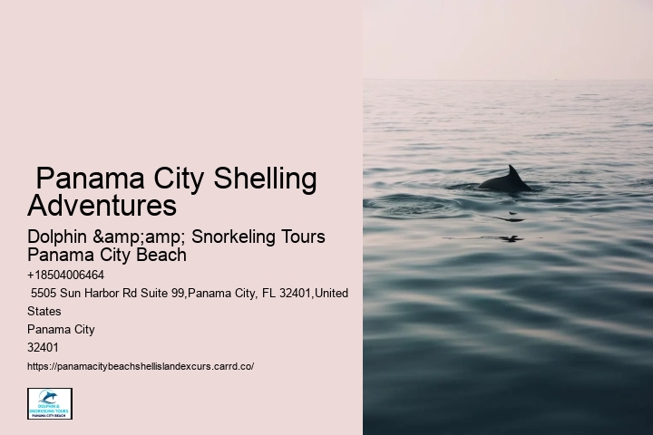  Panama City Shelling Adventures