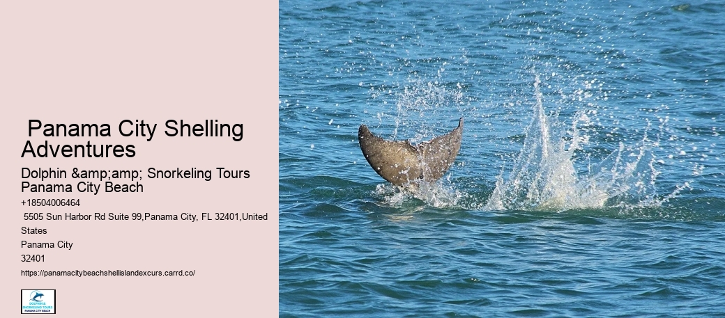 Shell Island Panoramic Coastal Adventures