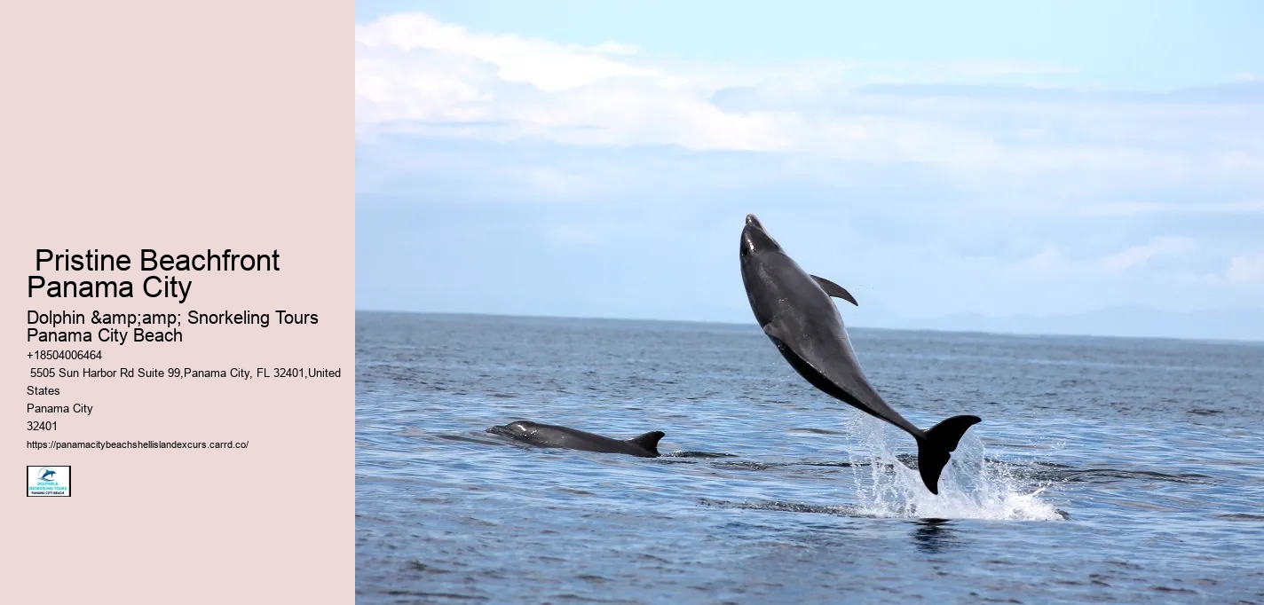  Pristine Beachfront Panama City