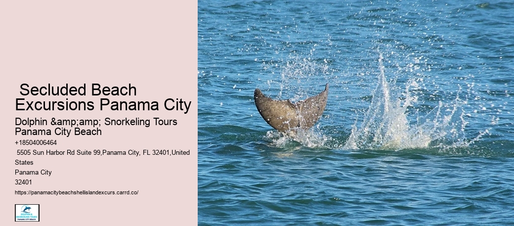 Coastal Serenity Shell Island Tours