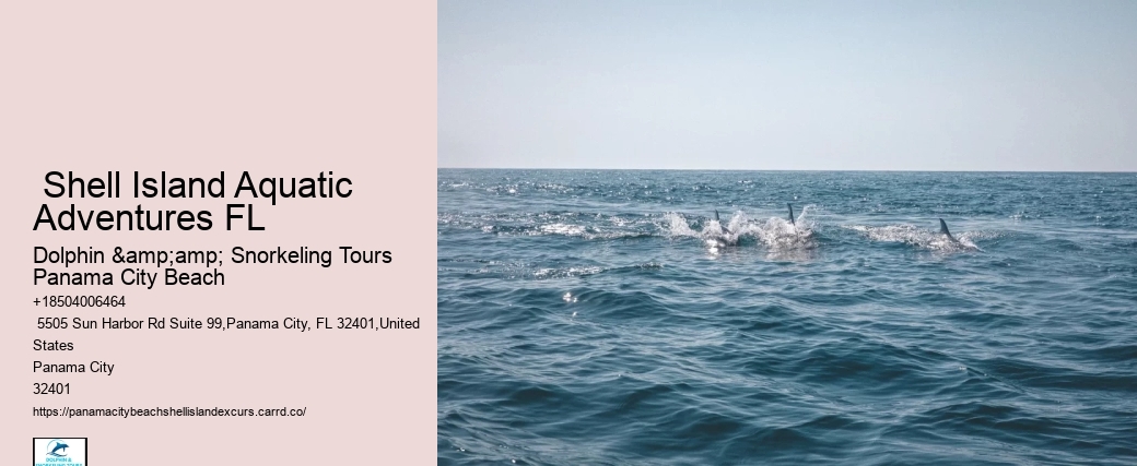  Shell Island Aquatic Adventures FL
