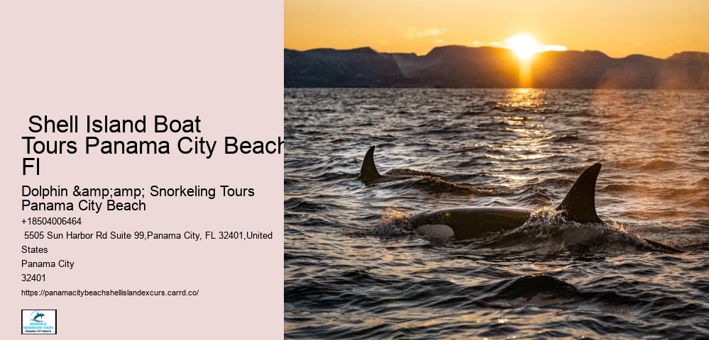  Shell Island Boat Tours Panama City Beach Fl