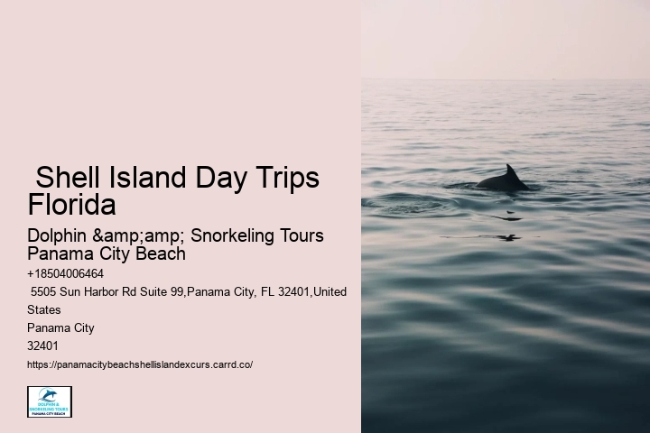  Shell Island Day Trips Florida