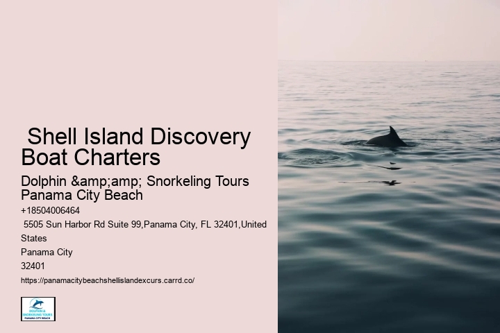  Shell Island Discovery Boat Charters