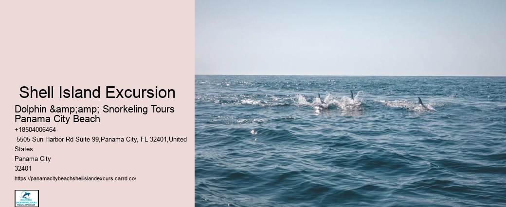  Shell Island Excursion