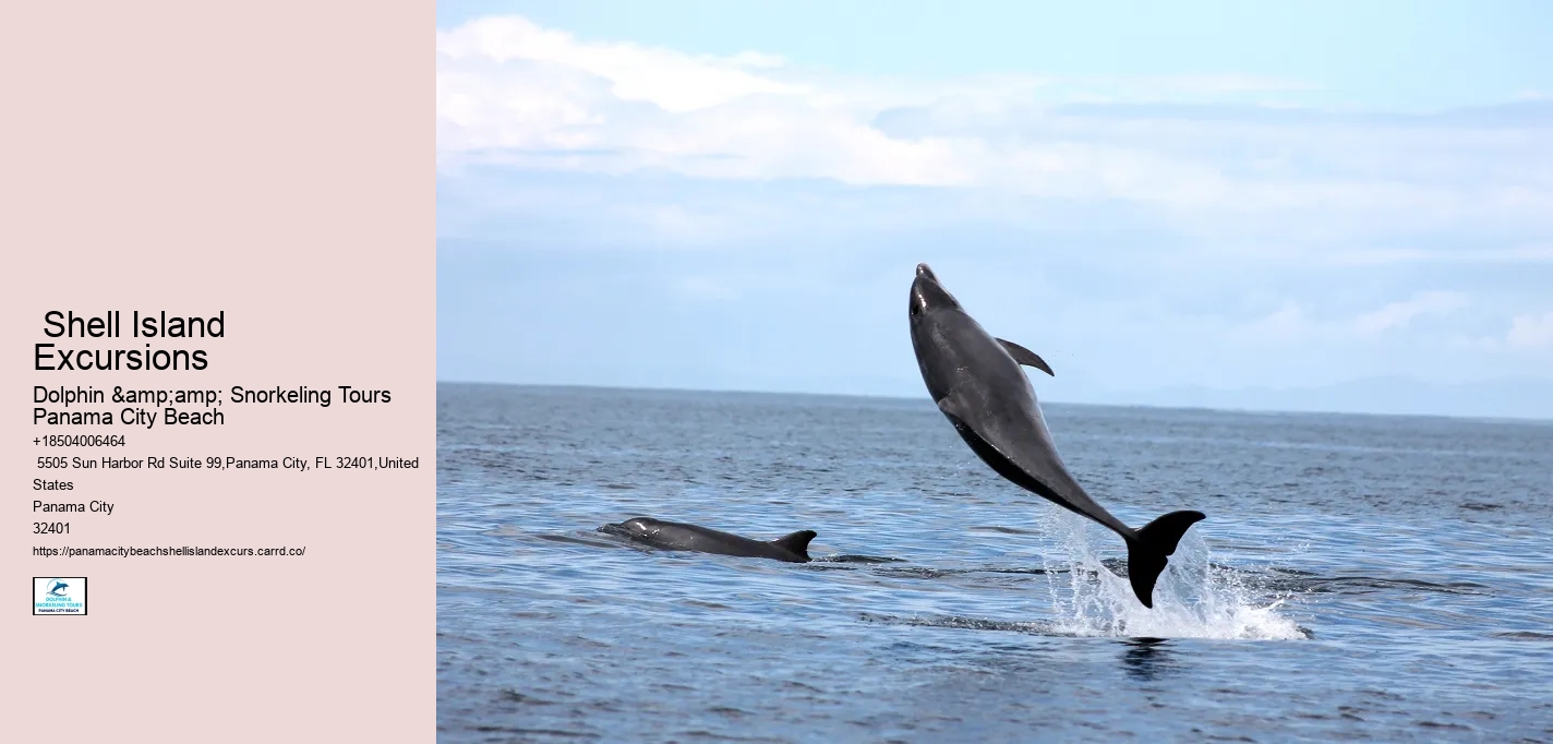  Shell Island Excursions