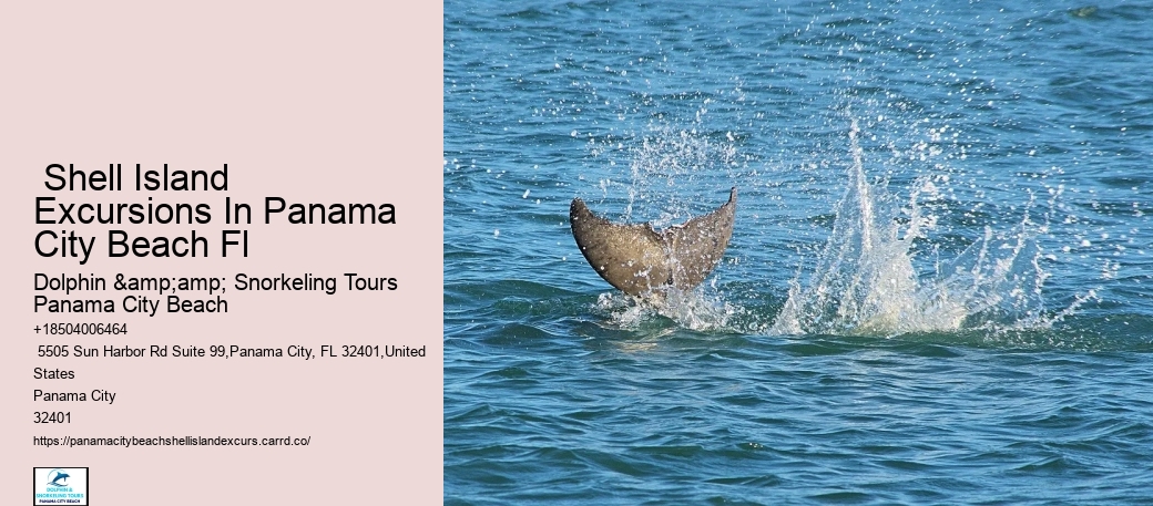 Online Booking Terms And Conditions