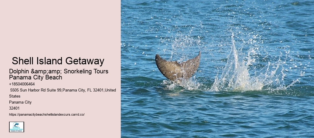 How Long Does It Take On The Boat To Get To Shell Island