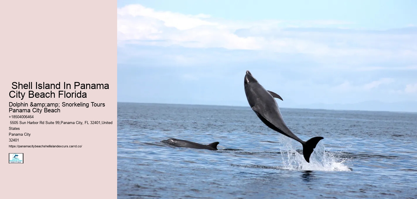  Shell Island In Panama City Beach Florida