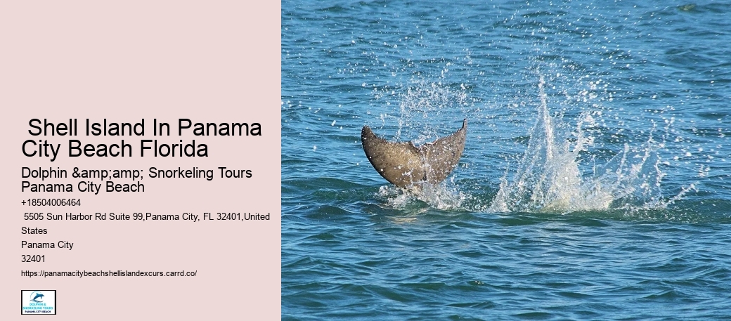 Panama City Seashore Serenity Tours