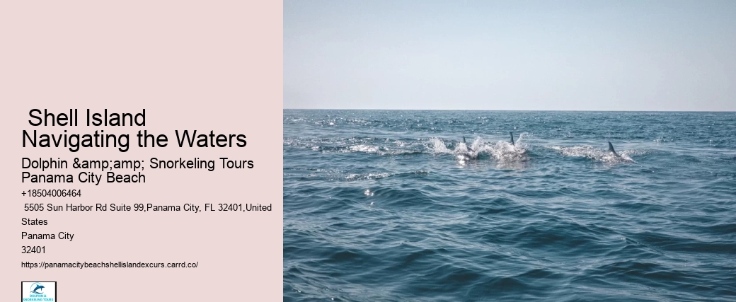  Shell Island Navigating the Waters