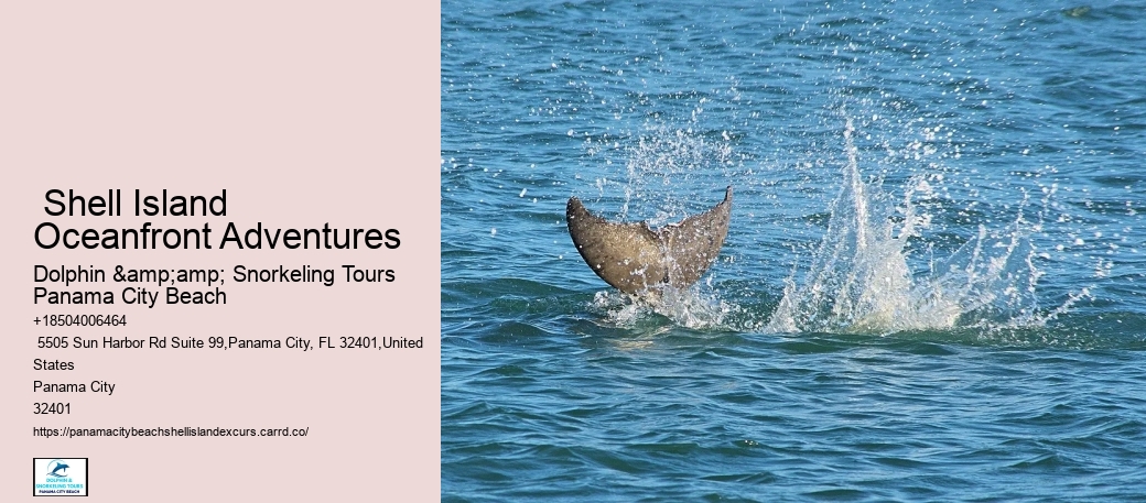 Shell Island Cruise Panama City