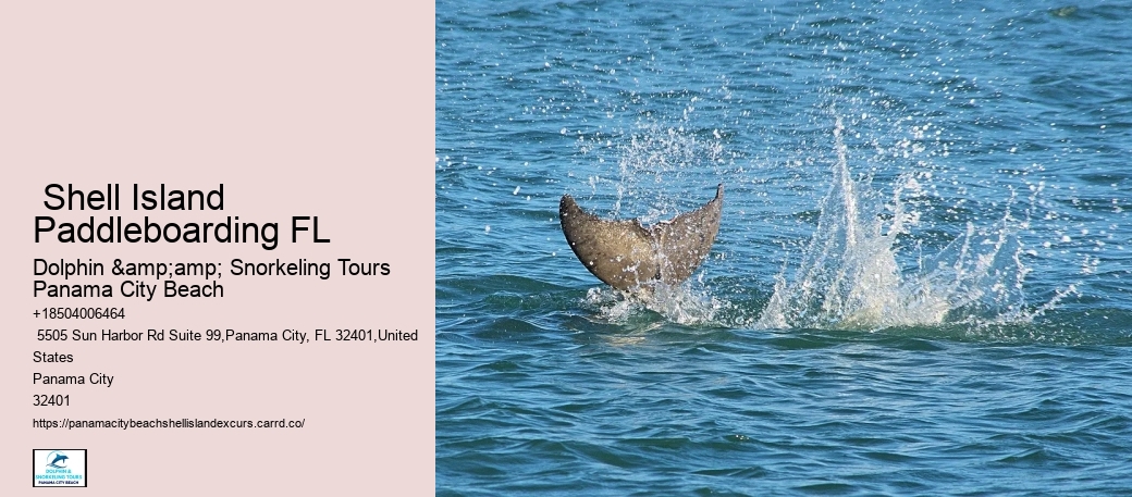 How To Get To Shell Island Panama City Beach