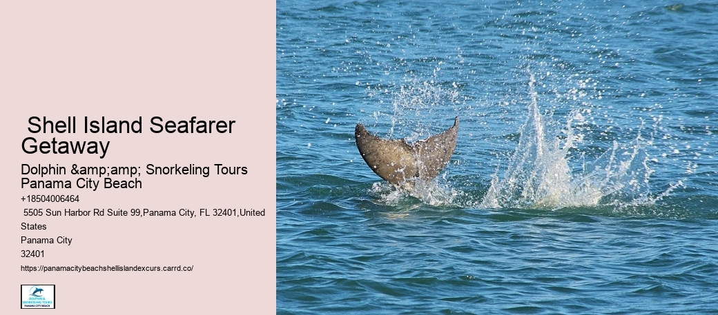 Shell Island Cruises Panama City Fl