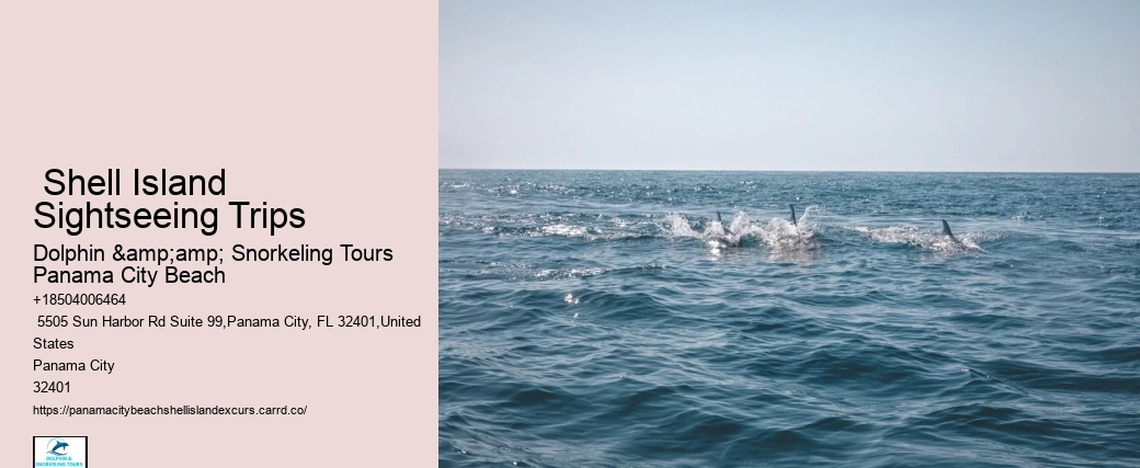  Shell Island Sightseeing Trips