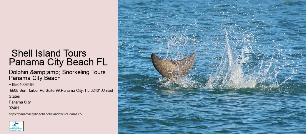 Is It Worth Going To Shell Island