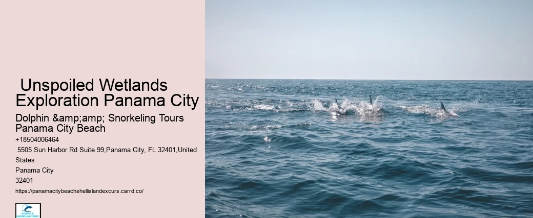  Unspoiled Wetlands Exploration Panama City