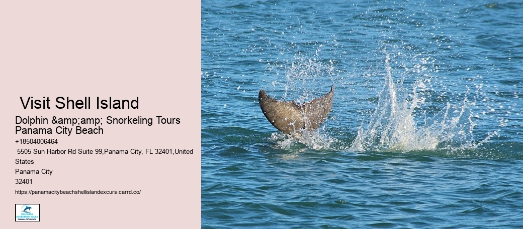 Panama City Marine Life Excursions