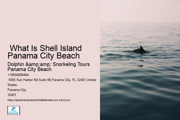  What Is Shell Island Panama City Beach